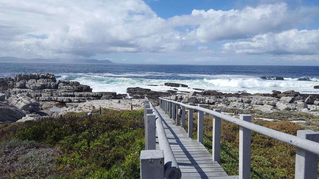 Whale View Self Catering Apartment Hermanus Eksteriør bilde